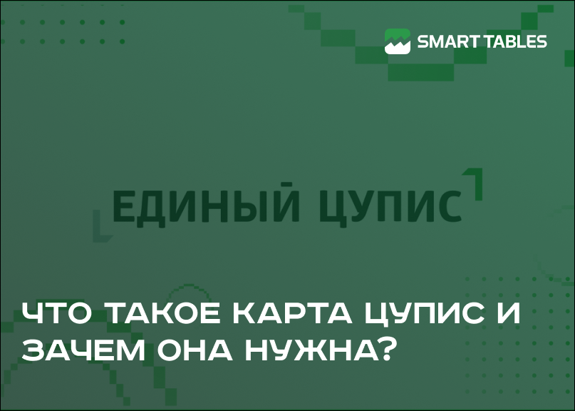 Что такое карта ЦУПИС и зачем она нужна?