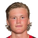 Х. Стеневик