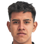 Г. Мартинес