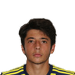 М. Гемюшкая