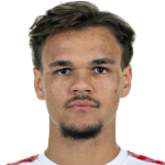 Макс Финкграфе