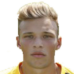 Сидни ван Хойдонк