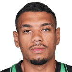 Руан Трессольди Нетто