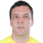 В. Стойкович