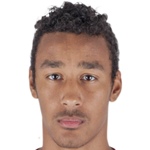 С. Наттестад