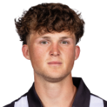 Д. Бертолиссио