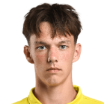 Родион Медведев