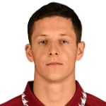 Домагой Брадарич