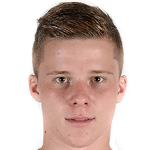 Нико Эльведи