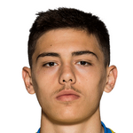 Деннис Хаджикадунич