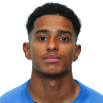 М. Аль-Немер