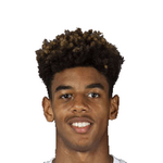 Вильем Давнис Луи Дидье Геуббельс