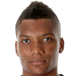 Ж. Фернандес