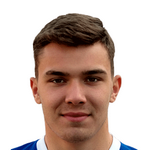 П. Вишневский