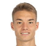 Д. Хергелигиу