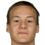 Д. Милошевич