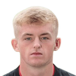 К. Макферсон