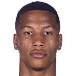 Астер Вранкс