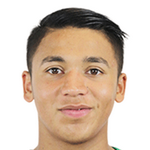 Марсело Иван Алленде Браво