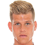 Ф. Нидерлехнер