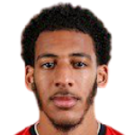 Доминик Льюис Томпсон