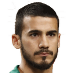 Л. Вильяфаньес