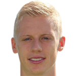 Т. Баумгартль