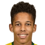 Андре Видигал