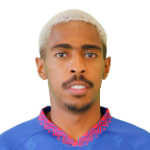 С. Альселули