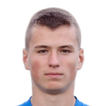 В. Плеснирович