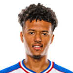 Н. Хямяляйнен