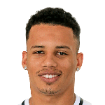 Рафаэль Рожерио да Силва