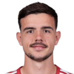 N. Milanovic