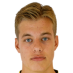 Жоэль ван дер Вилт