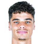 Давид Торрес