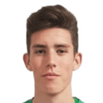 Ю. Маргинеан