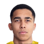 А. Чидомере