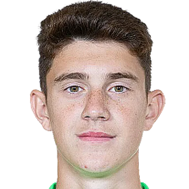 Александр Дегтев