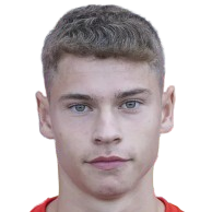 Александр Дикарев
