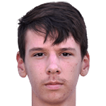 Ален Диздаревич