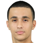 Ahmet Lütfi Kara