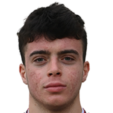 А. Петрелли