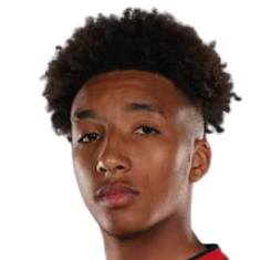 Брэдли Райан Ибрагим