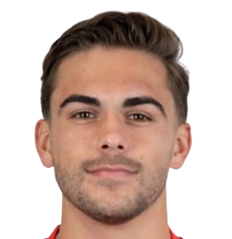 Барт ван Рой