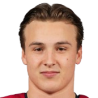 Людвик Bakkevig