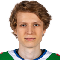 Данил Башкиров