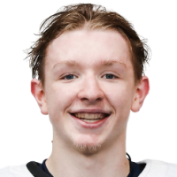 Дмитрий Бучельников