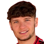 К. Сэлисбари