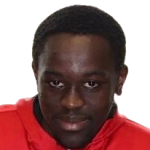 Шейх Ахаду Тидиан Тиам