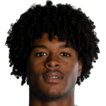 D. De Oliveira Amaral